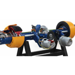 Cut Model of Rear Axle with Locking Differential